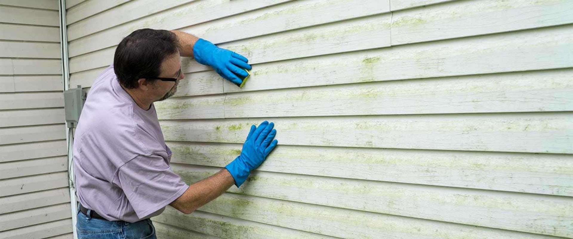 Cleaning and Treating Mold or Mildew: A Comprehensive Guide to Roofing and Siding Maintenance