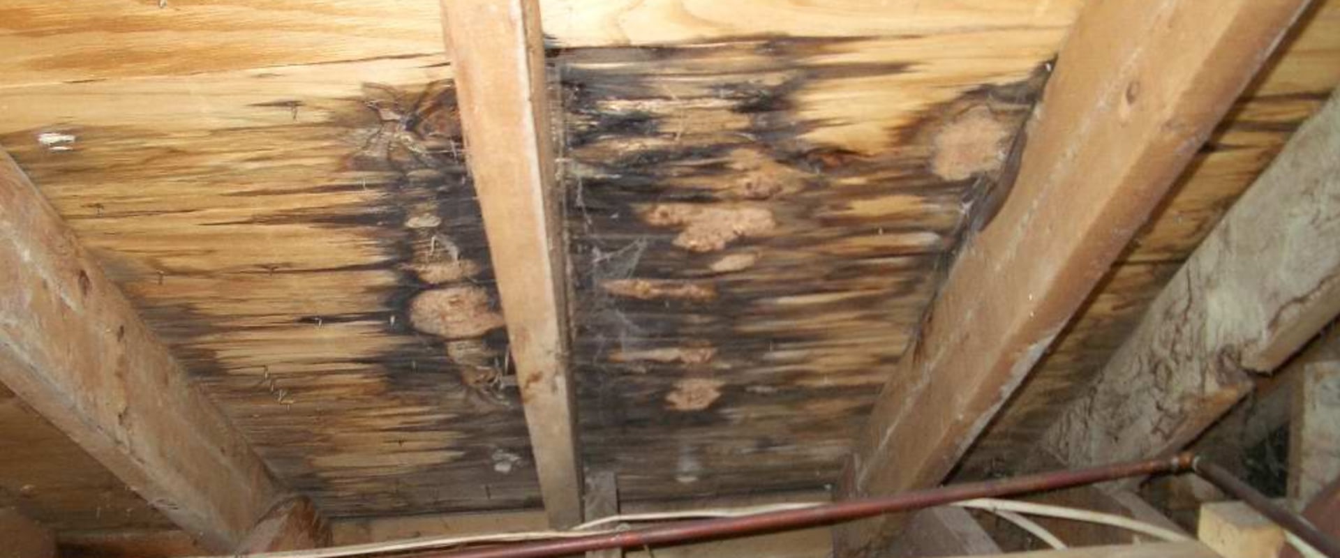 How to Identify and Fix a Leaking Roof