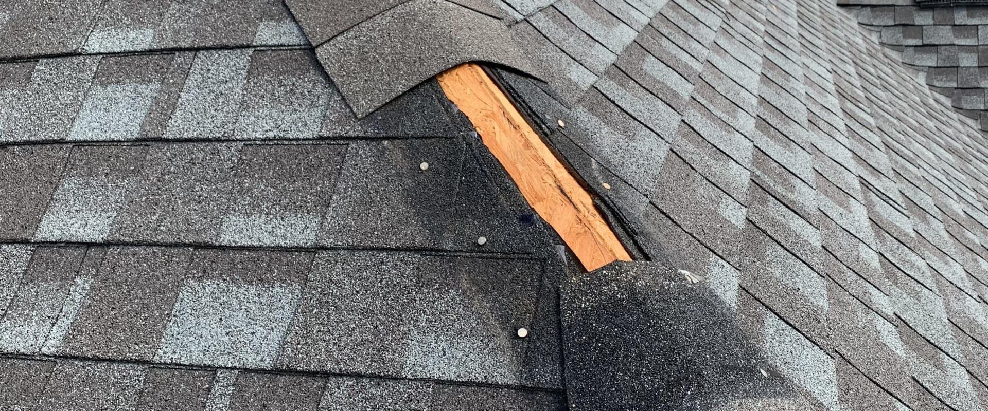 All You Need to Know About Missing or Damaged Shingles